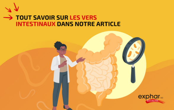 Vers intestinaux : symptômes et traitement I Exphar Cameroun